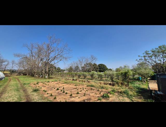 20,234M² SMALLHOLDING FOR SALE IN RYNFIELD AH
